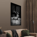 Sitting Deer - Walljar