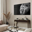 Gazing Lion - Walljar