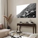 Ox in Meadow - Walljar