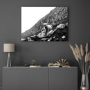 Ox in Meadow - Walljar