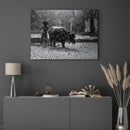 Water Buffalo - Walljar