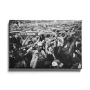 Ajax kampioen poster