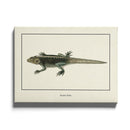 Afrikaanse schilderijen