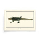 Afrikaanse schilderijen