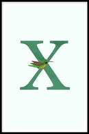 Xantus alfabet poster