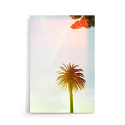 Palmboom poster