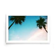 Palmbomen poster