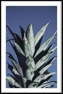 Ananas poster