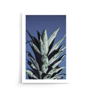 Ananas poster