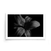 Bloemen poster