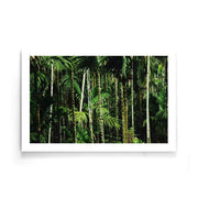 Tropische wanddecoratie