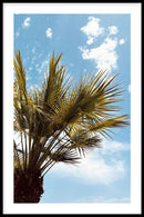 Bellissima Palma - Walljar