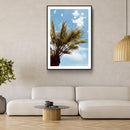 Bellissima Palma - Walljar