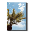 Bellissima Palma - Walljar