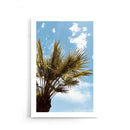 Bellissima Palma - Walljar