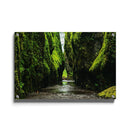 Tropische wanddecoratie