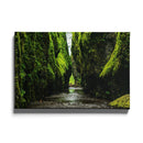 Tropische wanddecoratie