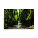 Tropische wanddecoratie