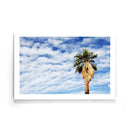 Palmbomen poster