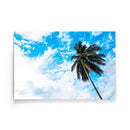 Palmboom poster