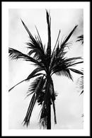 Palmbomen poster
