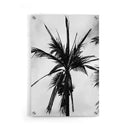 Palmbomen poster