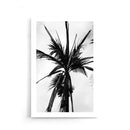 Palmbomen poster
