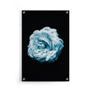 Bloemen poster