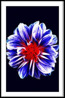 Bloemen poster