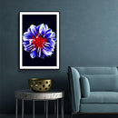 Bloemen poster