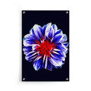 Bloemen poster