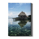 Tropische wanddecoratie