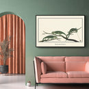 Afrikaanse schilderijen