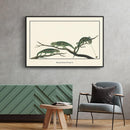 Afrikaanse schilderijen