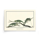 Afrikaanse schilderijen