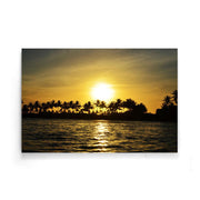 Palmboom poster