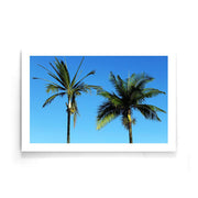 Palmbomen poster