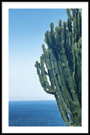 Cactus At Sea - Walljar