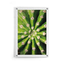Cactus poster