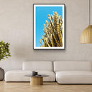 Cactus Contrast - Walljar