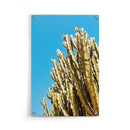 Cactus Contrast - Walljar