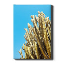 Cactus Contrast - Walljar