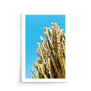 Cactus Contrast - Walljar