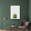 Cactus poster
