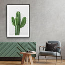 Cactus poster