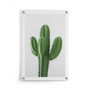 Cactus poster