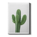 Cactus poster