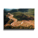 Canadian Forest poster - Walljar