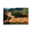 Canadian Forest poster - Walljar