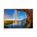 Tropische wanddecoratie